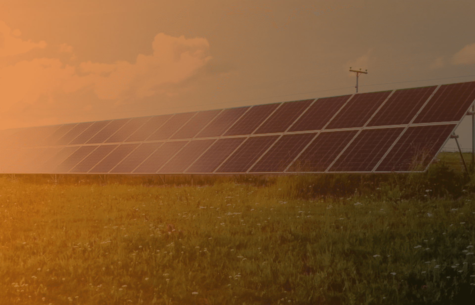 Solceller installerade på markstativ